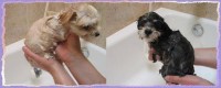 Our First bath - HELP US!!