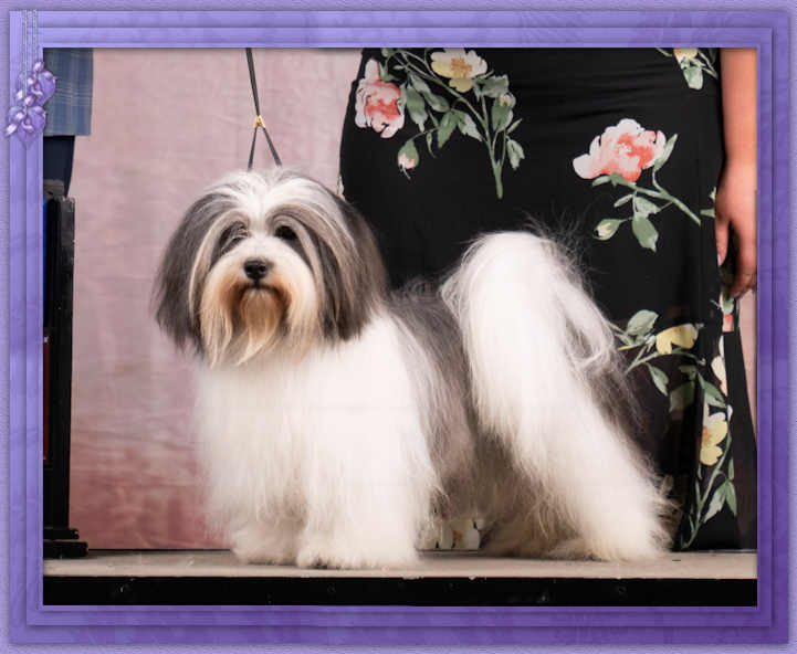 New Kid On The Block