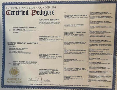 pedigree