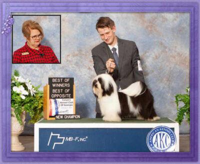 CH Grandview’s Get My Lovin On The Run