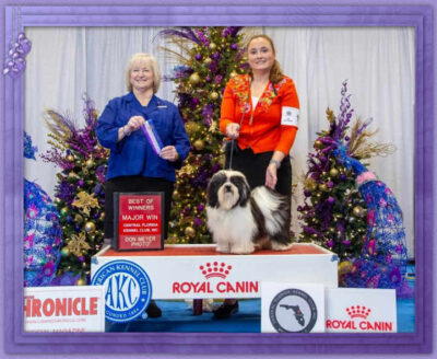 CH Grandview’s Where Is Waldo