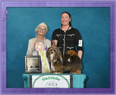 HOODVIEW'S TENNESSEE WHISKEY